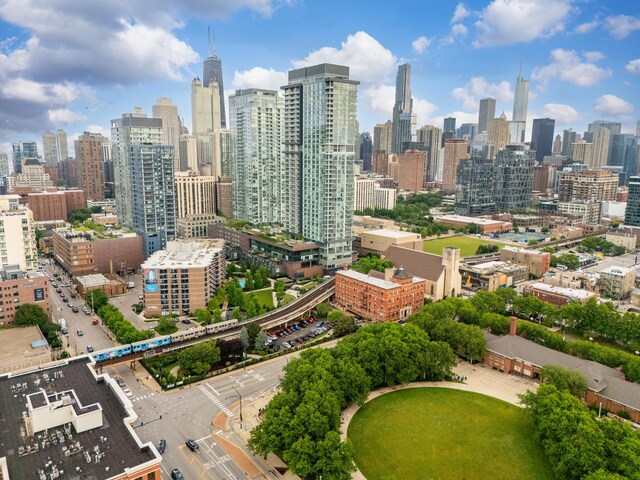 437 W Division St Unit 515, Chicago, IL 60610 - photo 39