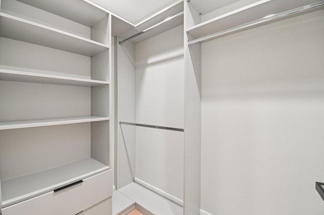 2700 Fontana Dr, Glenview, IL 60025 - view of spacious closet