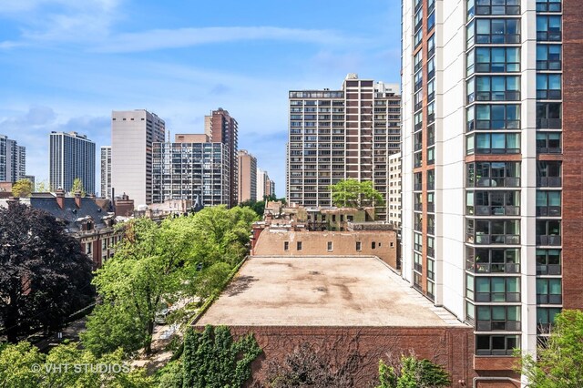 1325 N State Pkwy Unit 7A, Chicago, IL 60610 - skyline view