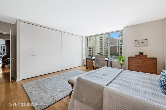 1325 N State Pkwy Unit 7A, Chicago, IL 60610 - bedroom featuring a closet and light wood-style floors