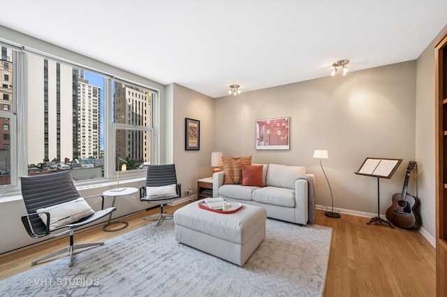 1325 N State Pkwy Unit 7A, Chicago, IL 60610 - living area featuring wood finished floors and baseboards