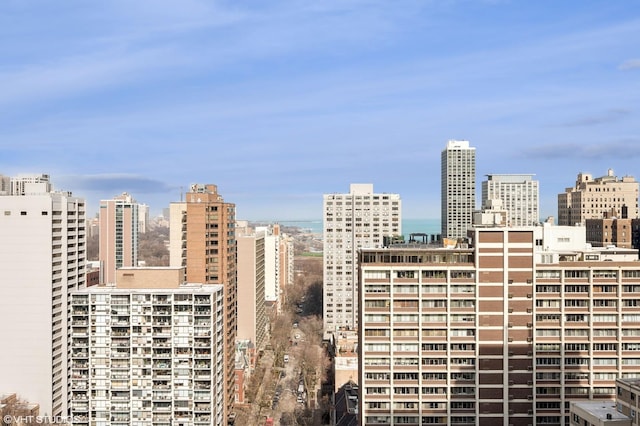 1325 N State Pkwy Unit 7A, Chicago, IL 60610 - city view