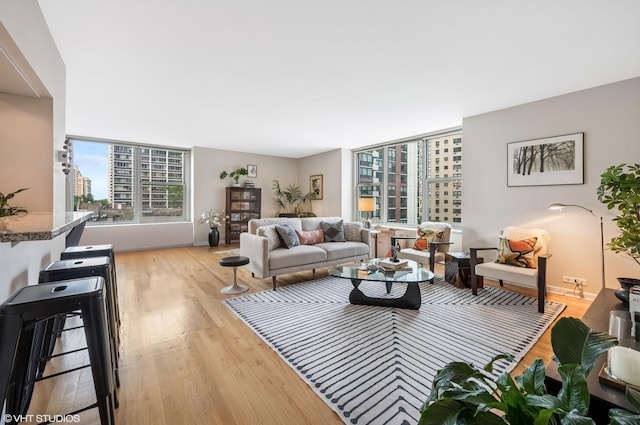 1325 N State Pkwy Unit 7A, Chicago, IL 60610 - living room with wood finished floors and baseboards