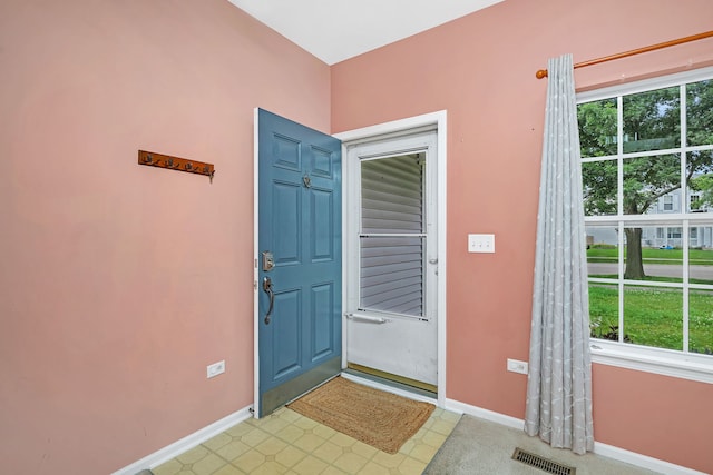 1423 Red Top Ln, Minooka, IL 60447 - foyer entrance with plenty of natural light