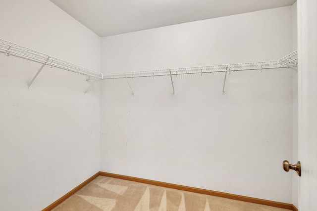 1423 Red Top Ln, Minooka, IL 60447 - spacious closet with carpet