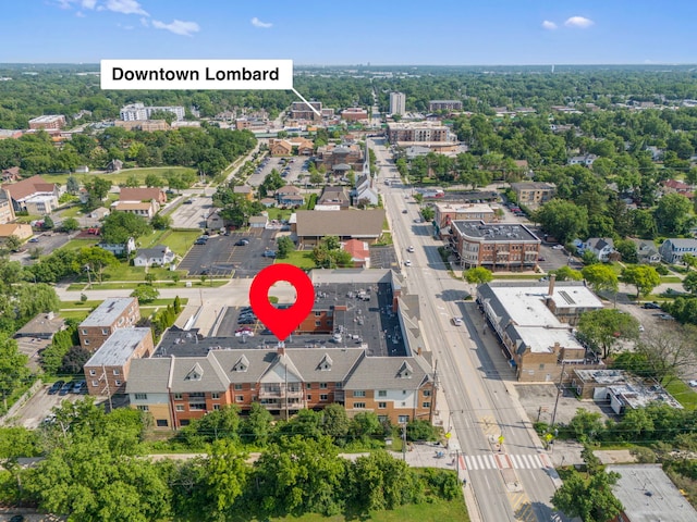 310 S Main St Unit 216, Lombard, IL 60148 - photo 18