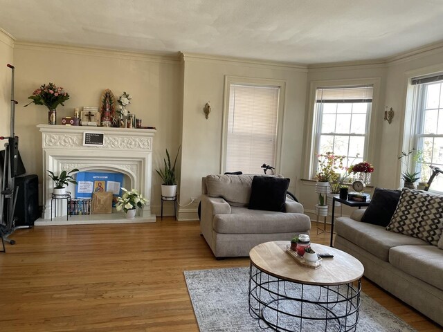 2625 W Greenleaf Ave, Chicago, IL 60645 - photo 5