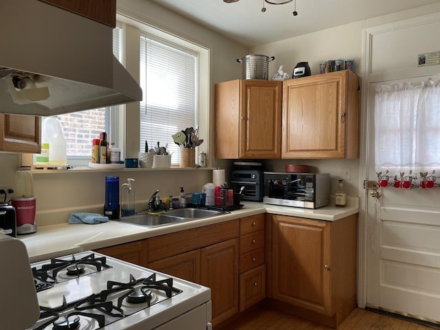 2625 W Greenleaf Ave, Chicago, IL 60645 - photo 10