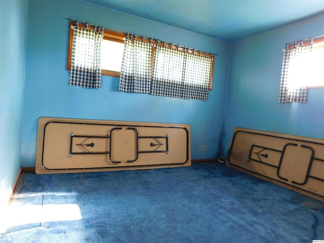 3411 Payson Rd, Quincy, IL 62305 - empty room featuring healthy amount of natural light and carpet flooring