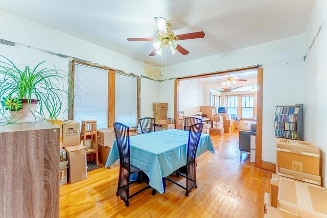2555 N Mason Ave, Chicago, IL 60639 - photo 11