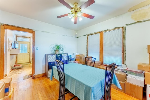 2555 N Mason Ave, Chicago, IL 60639 - photo 7