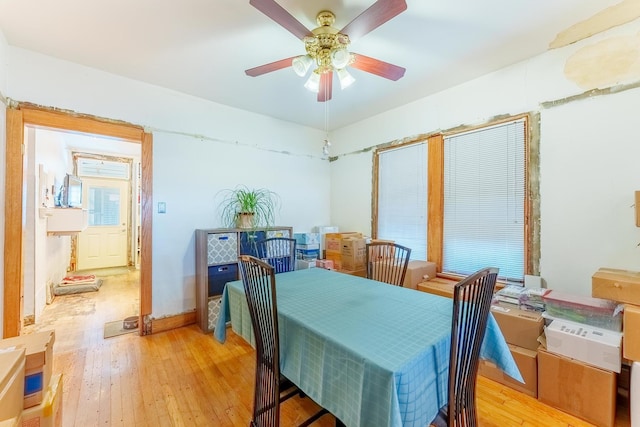2555 N Mason Ave, Chicago, IL 60639 - photo 8
