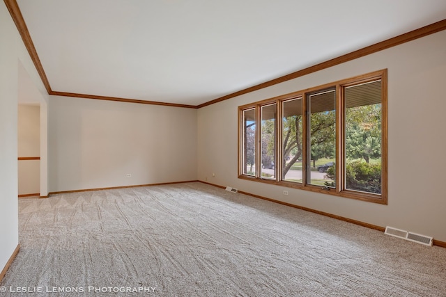 13938 S Trails End Dr, Homer Glen, IL 60491 - unfurnished room with crown molding and light colored carpet