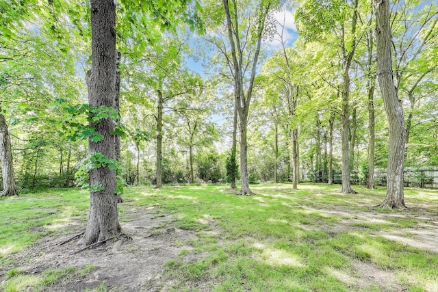 32362 N Pine Ave, Grayslake, IL 60030 - photo 49