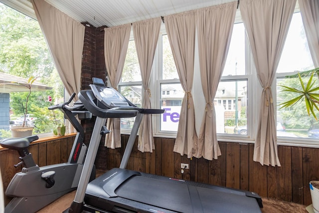 5028 N Sawyer Ave, Chicago, IL 60625 - exercise room with wooden walls, plenty of natural light, and carpet