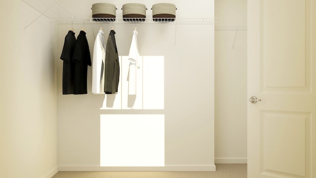 3709 Neubauer Cir, Lindenhurst, IL 60046 - walk in closet with carpet