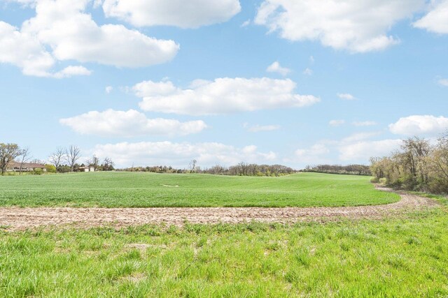 1406 Busse Rd, Marengo, IL 60152 - photo 55