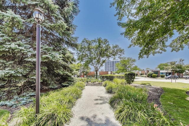 900 E Wilmette Rd Unit 205, Palatine, IL 60074 - view of home's community