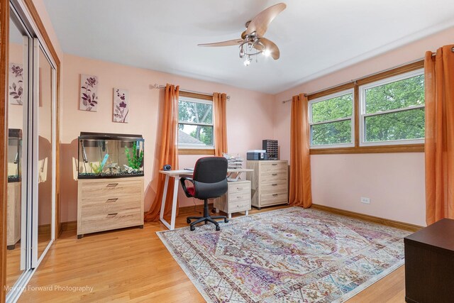 1145 S Chestnut Ave, Arlington Heights, IL 60005 - office space featuring light wood-type flooring and a ceiling fan