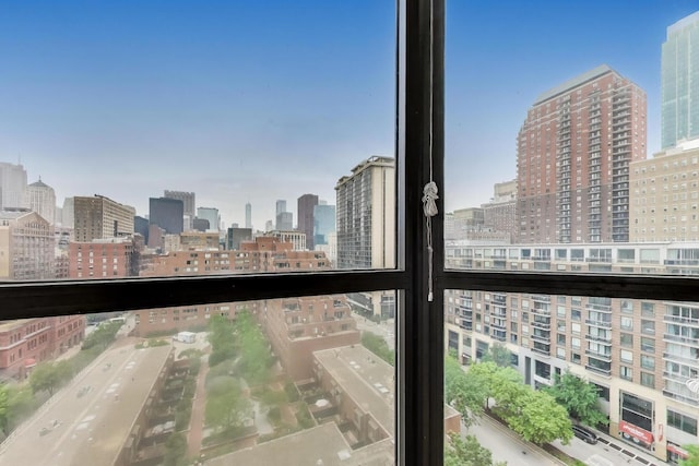 899 S Plymouth Ct Unit 1103, Chicago, IL 60605 - skyline view