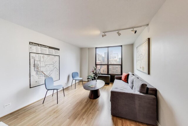 899 S Plymouth Ct Unit 1103, Chicago, IL 60605 - living room featuring track lighting and light wood-style flooring