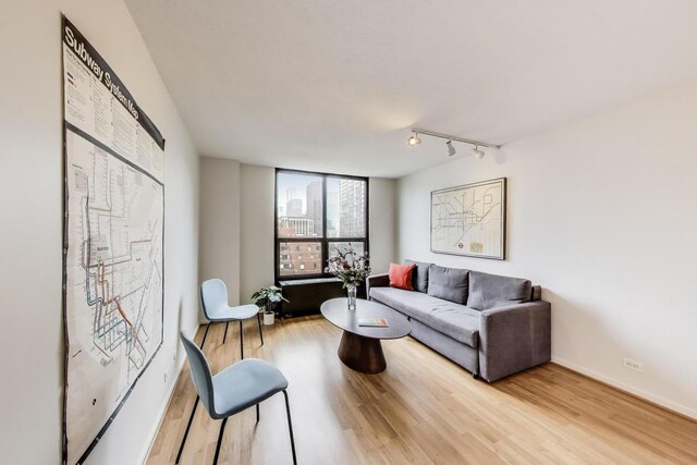 899 S Plymouth Ct Unit 1103, Chicago, IL 60605 - living room with light wood-style floors and track lighting