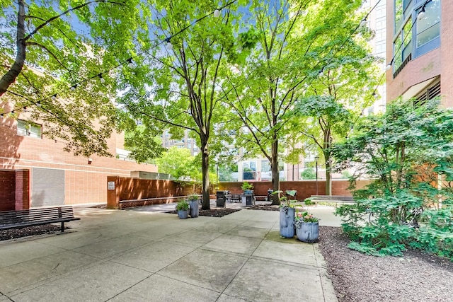 899 S Plymouth Ct Unit 1103, Chicago, IL 60605 - view of patio