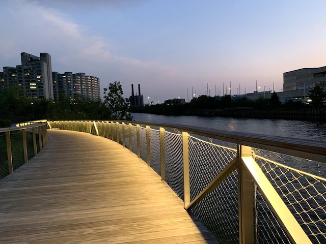 899 S Plymouth Ct Unit 1103, Chicago, IL 60605 - dock with a water view