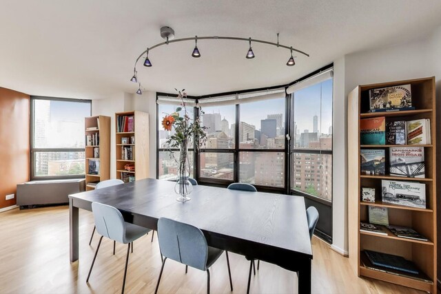 899 S Plymouth Ct Unit 1103, Chicago, IL 60605 - dining room featuring light wood finished floors and a view of city