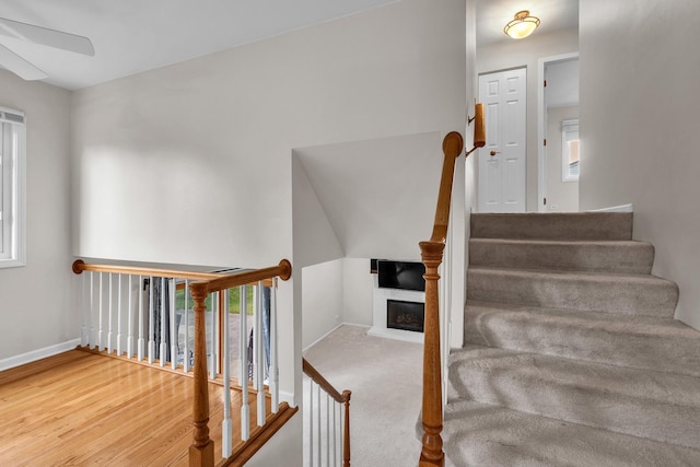 633 Buckthorn Ter, Buffalo Grove, IL 60089 - stairs featuring a ceiling fan and plenty of natural light