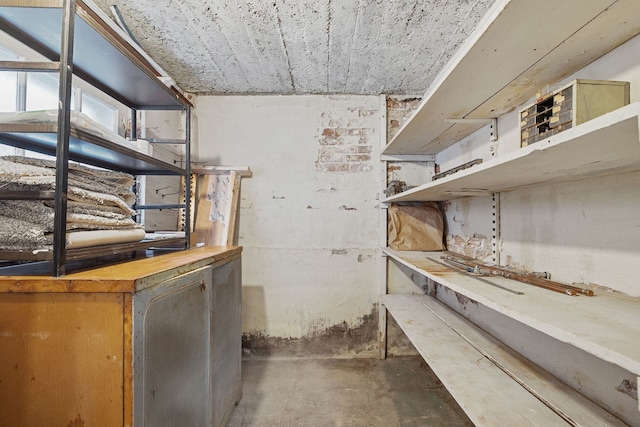 919 N Harvey Ave, Oak Park, IL 60302 - view of storage area