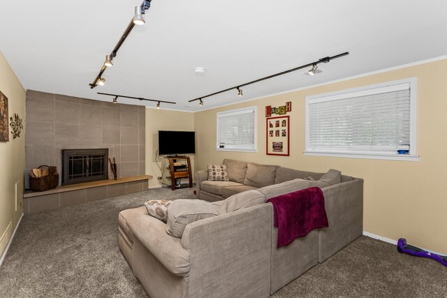 1101 Juniper Ter, Glenview, IL 60025 - carpeted living area with track lighting and a tiled fireplace