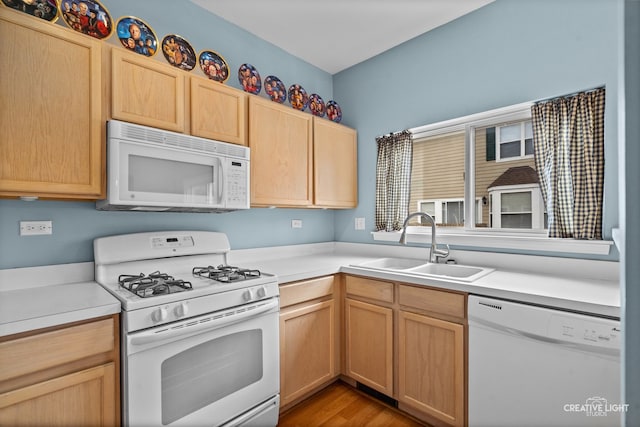 2426 Courtyard Cir Unit 3, Aurora, IL 60506 - kitchen with white appliances, light brown cabinets, light countertops, and wood finished floors