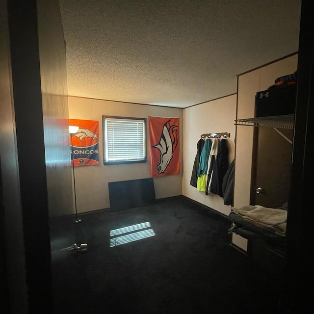 112 Crestview Dr, Hamilton, IL 62341 - unfurnished bedroom featuring dark carpet and a textured ceiling