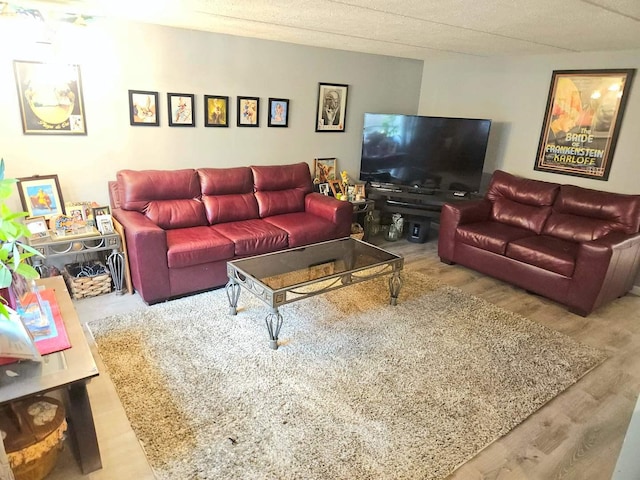 855 Village Quarter Rd Unit C, West Dundee, IL 60118 - living room with wood finished floors