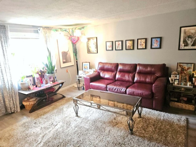855 Village Quarter Rd Unit C, West Dundee, IL 60118 - living room featuring a textured ceiling