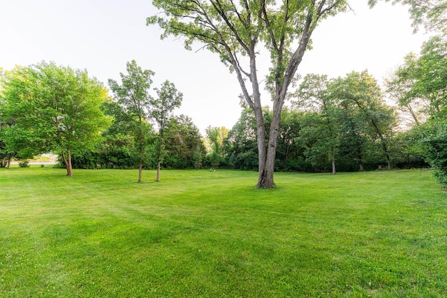 503 N Sangamon Ln, Dixon, IL 61021 - photo 57