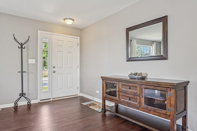 707 Brighton Dr, Pingree Grove, IL 60140 - entrance foyer with wood finished floors and baseboards