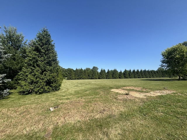 6422 Steward Rd, Rockford, IL 61101 - view of green lawn with a wooded view