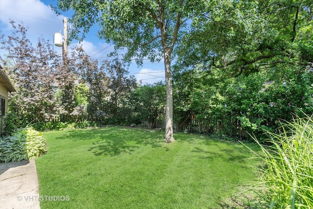 110 N Caroline Ave, Elmhurst, IL 60126 - photo 22