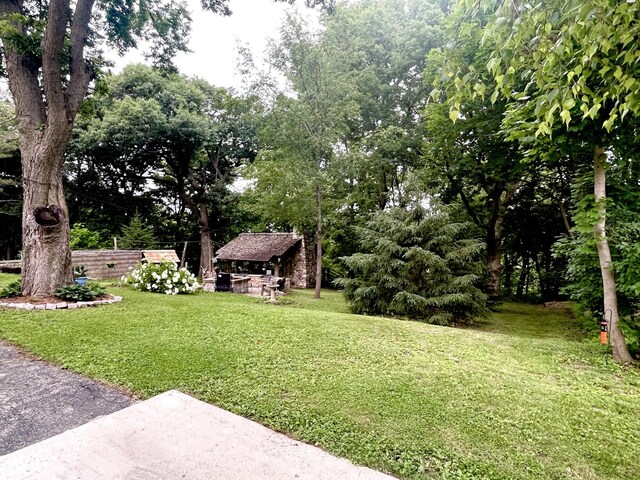 825 Swift Ave, Oglesby, IL 61348 - view of grassy yard featuring a patio and view of scattered trees