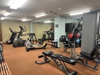 77 Lake Hinsdale Dr Unit 207, Willowbrook, IL 60527 - gym featuring carpet