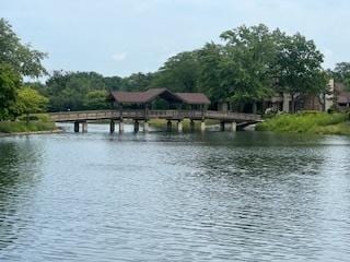 77 Lake Hinsdale Dr Unit 207, Willowbrook, IL 60527 - water view