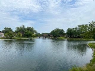 77 Lake Hinsdale Dr Unit 207, Willowbrook, IL 60527 - water view