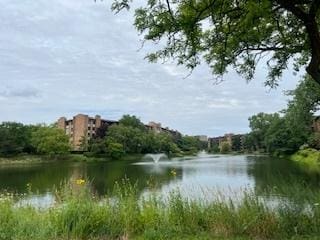 77 Lake Hinsdale Dr Unit 207, Willowbrook, IL 60527 - water view