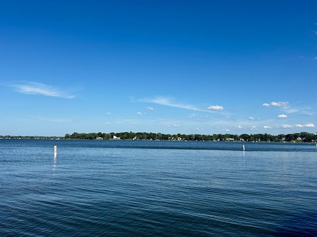 91 Mineola Rd, Fox Lake, IL 60020 - photo 27