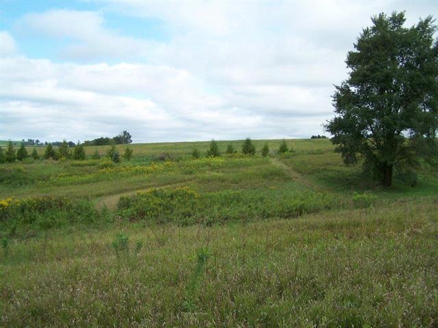 LOT3 E Morseville Rd, Stockton, IL 61085 - photo 7