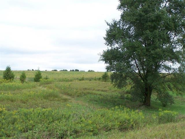 LOT3 E Morseville Rd, Stockton, IL 61085 - photo 8