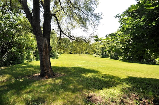 4816 Auburn St, Rockford, IL 61101 - view of green lawn