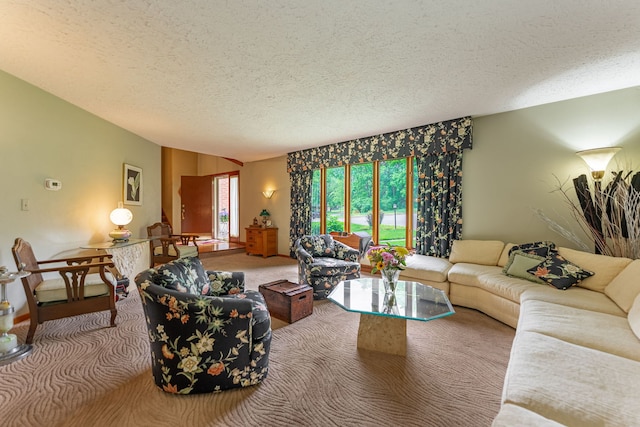 4303 Singleton Close, Rockford, IL 61114 - carpeted living room with a textured ceiling